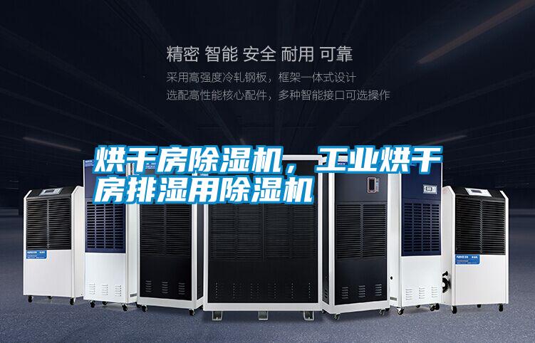 烘干房除濕機，工業烘干房排濕用除濕機
