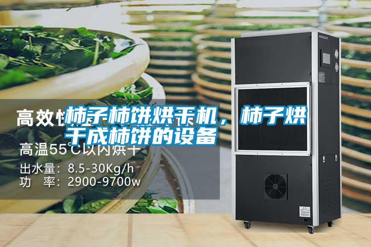 柿子柿餅烘干機(jī)，柿子烘干成柿餅的設(shè)備