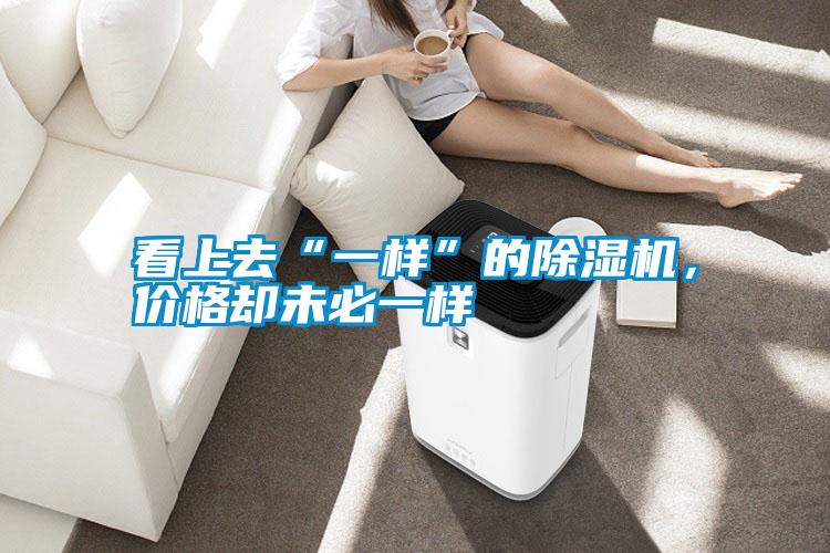 看上去“一樣”的除濕機(jī)，價(jià)格卻未必一樣