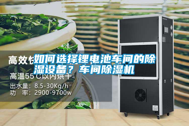 如何選擇鋰電池車間的除濕設(shè)備?車間除濕機(jī)