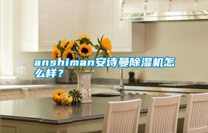 anshiman安詩曼除濕機怎么樣？