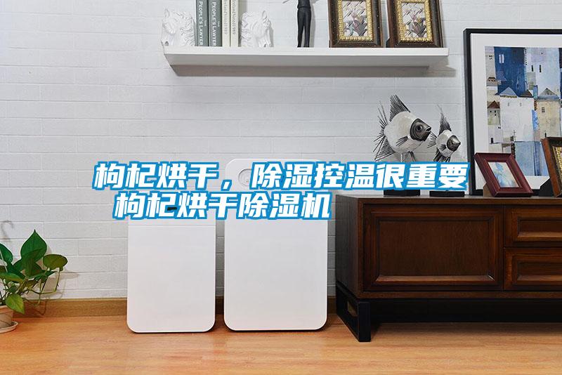 枸杞烘干，除濕控溫很重要 枸杞烘干除濕機(jī)