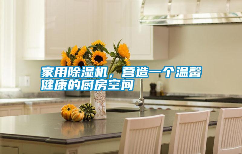 家用除濕機，營造一個溫馨健康的廚房空間