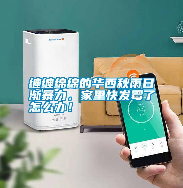 纏纏綿綿的華西秋雨日漸暴力，家里快發(fā)霉了怎么辦！