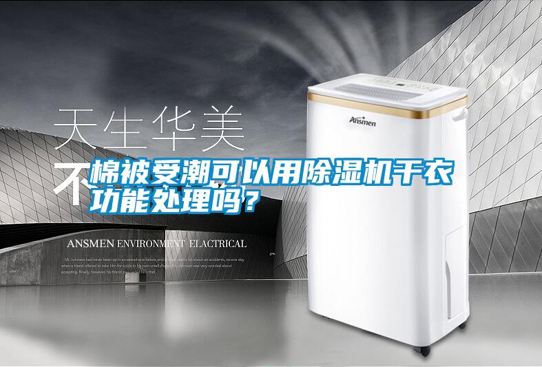棉被受潮可以用除濕機干衣功能處理嗎？