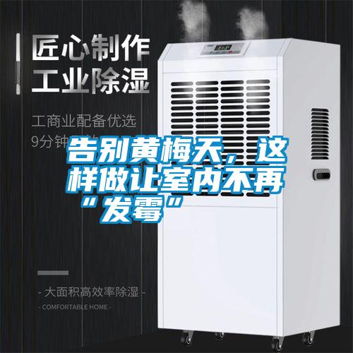 告別黃梅天，這樣做讓室內不再“發(fā)霉”