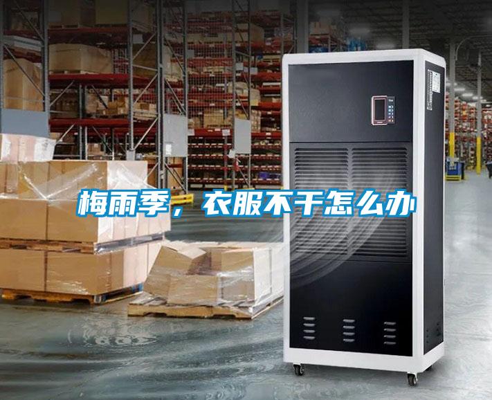梅雨季,衣服不干怎么辦