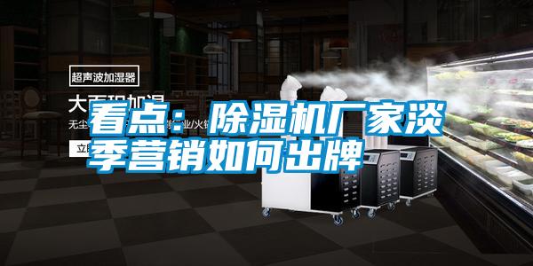 看點(diǎn):除濕機(jī)廠家淡季營(yíng)銷如何出牌