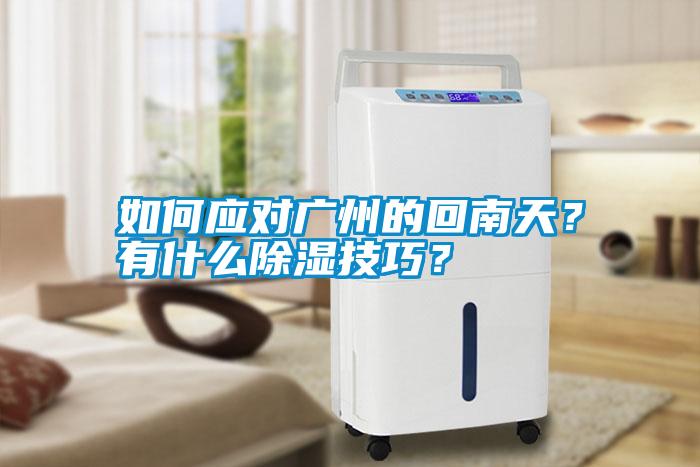 如何應(yīng)對廣州的回南天？有什么除濕技巧？