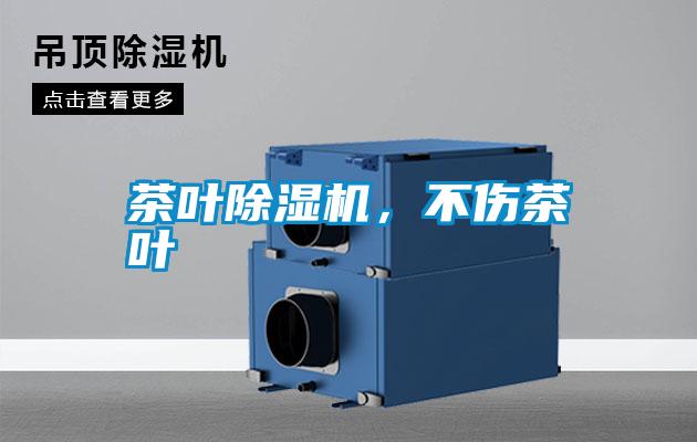 茶葉除濕機，不傷茶葉