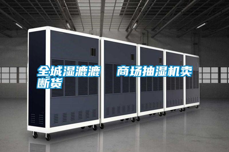 全城濕漉漉 商場抽濕機賣斷貨