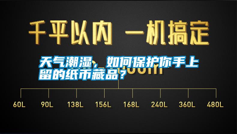 天氣潮濕，如何保護(hù)你手上留的紙幣藏品？