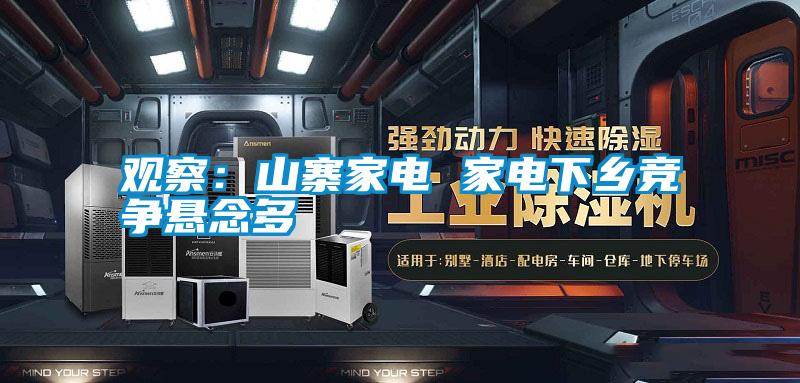 觀察:山寨家電 家電下鄉競爭懸念多