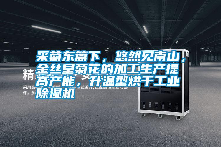 采菊東籬下,悠然見南山,金絲皇菊花的加工生產(chǎn)提高產(chǎn)能,升溫型烘干工業(yè)除濕機