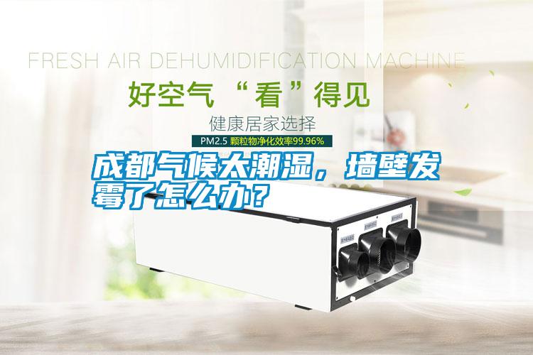 成都氣候太潮濕，墻壁發霉了怎么辦？