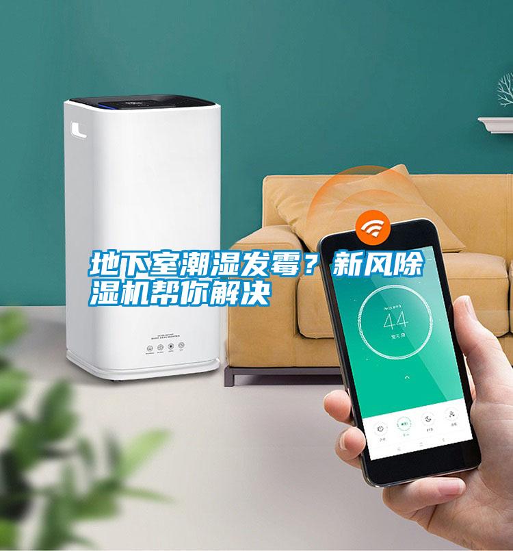 地下室潮濕發霉?新風除濕機幫你解決