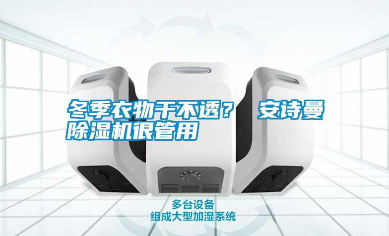 冬季衣物干不透？ 安詩曼除濕機很管用