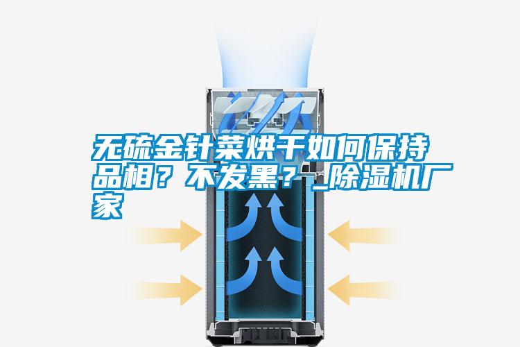 無硫金針菜烘干如何保持品相?不發(fā)黑?_除濕機廠家