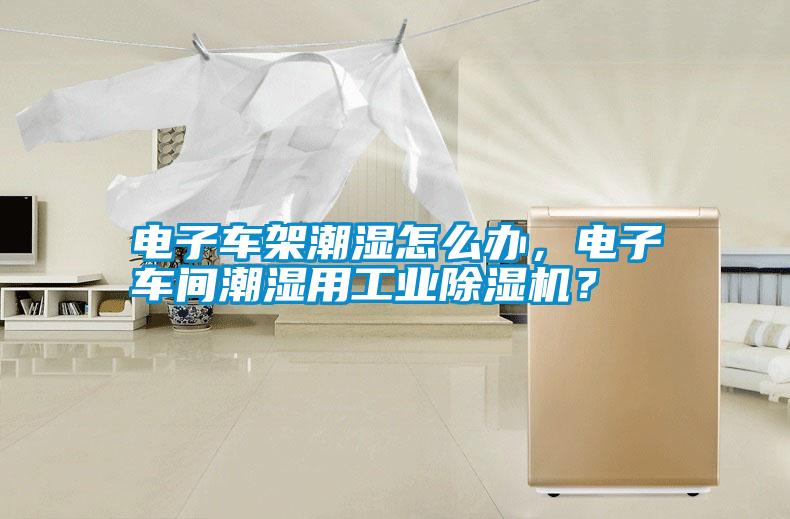 電子車架潮濕怎么辦，電子車間潮濕用工業(yè)除濕機(jī)？