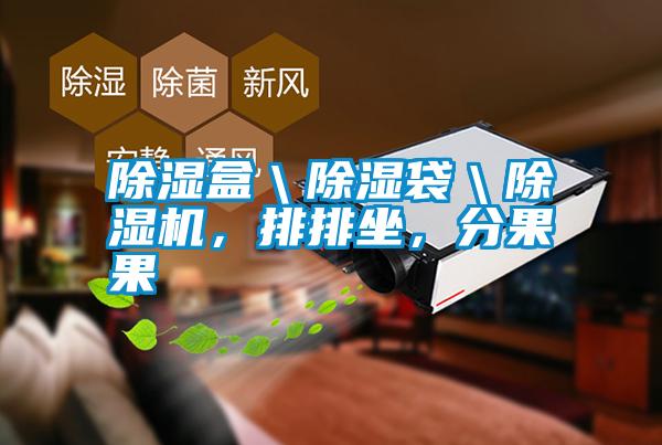 除濕盒＼除濕袋＼除濕機，排排坐，分果果