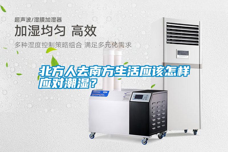 北方人去南方生活應該怎樣應對潮濕？