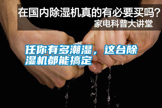 任你有多潮濕,這臺除濕機都能搞定