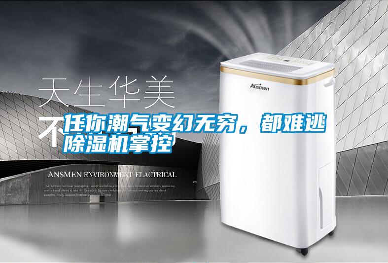 任你潮氣變幻無(wú)窮,都難逃除濕機(jī)掌控