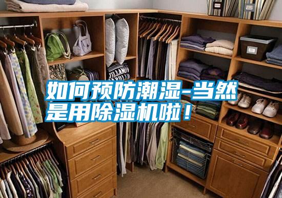 如何預(yù)防潮濕-當然是用除濕機啦！