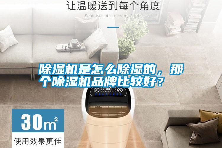 除濕機是怎么除濕的，那個除濕機品牌比較好？