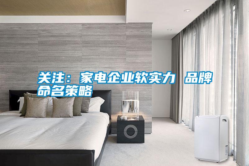 關注：家電企業(yè)軟實力 品牌命名策略