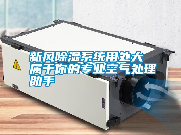 新風除濕系統用處大 屬于你的專業空氣處理助手