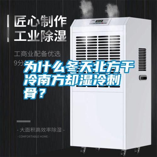 為什么冬天北方干冷南方卻濕冷刺骨？