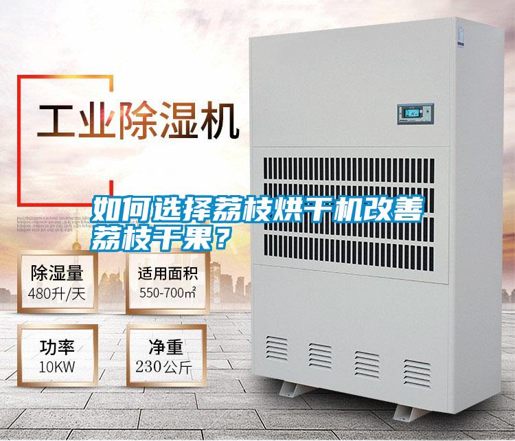 如何選擇荔枝烘干機改善荔枝干果？