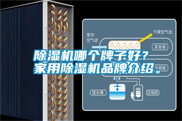 除濕機(jī)哪個牌子好？家用除濕機(jī)品牌介紹。