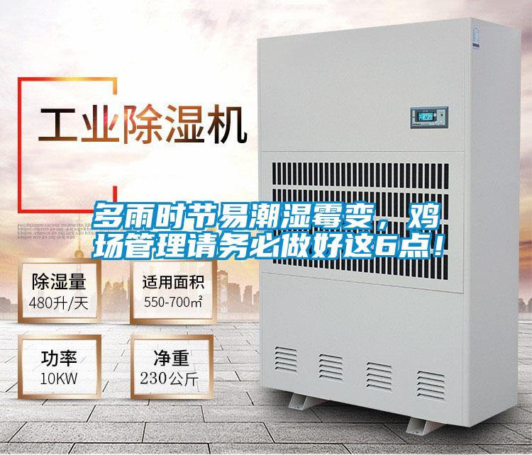 多雨時節(jié)易潮濕霉變,雞場管理請務(wù)必做好這6點(diǎn)!