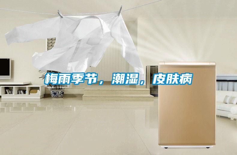 梅雨季節，潮濕，皮膚病
