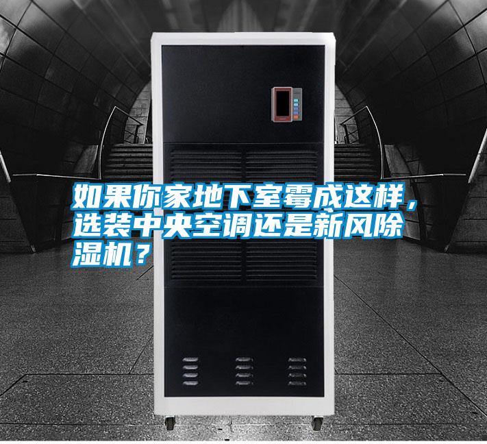 如果你家地下室霉成這樣,選裝中央空調還是新風除濕機?