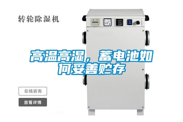 高溫高濕，蓄電池如何妥善貯存