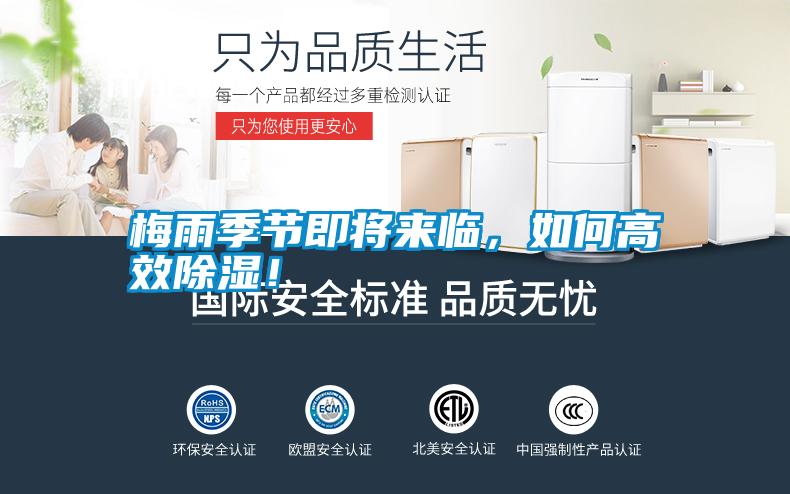 梅雨季節即將來臨，如何高效除濕！