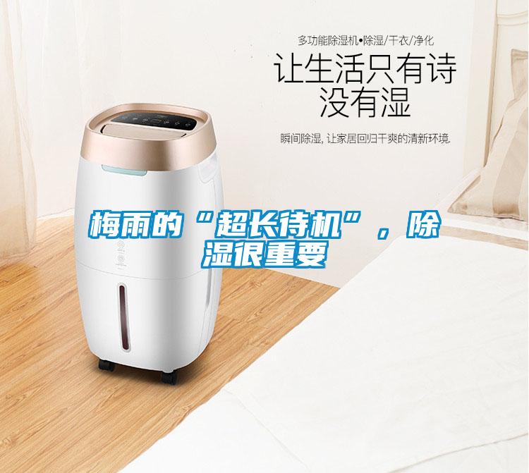 梅雨的“超長待機”，除濕很重要