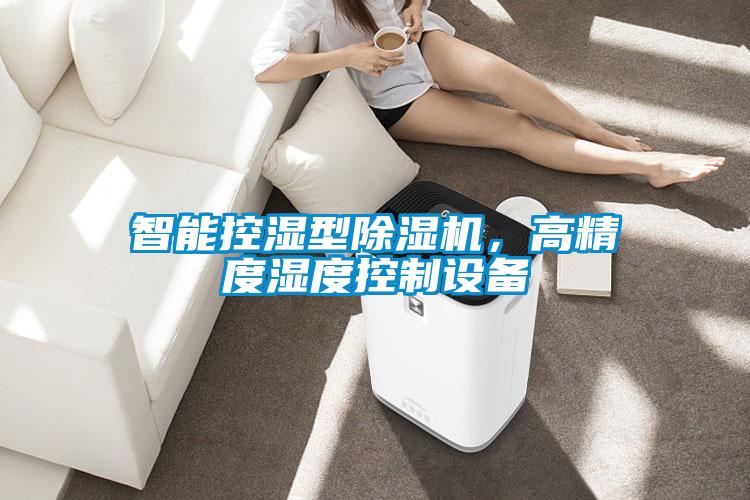 智能控濕型除濕機，高精度濕度控制設(shè)備