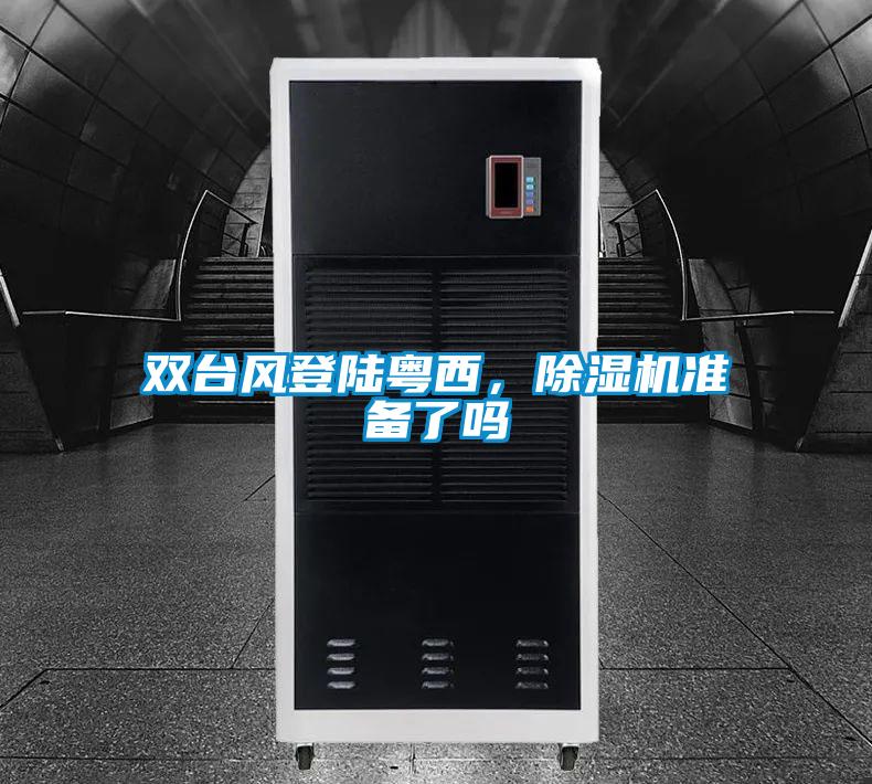 雙臺風登陸粵西,除濕機準備了嗎