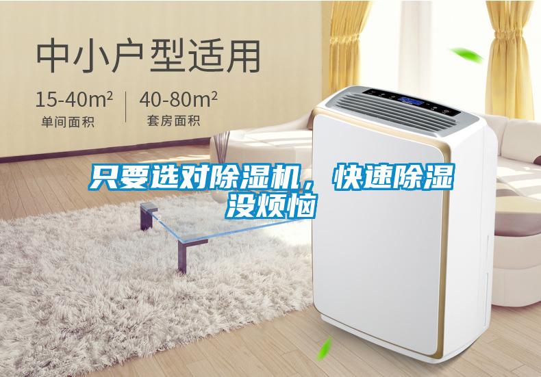 只要選對除濕機，快速除濕沒煩惱