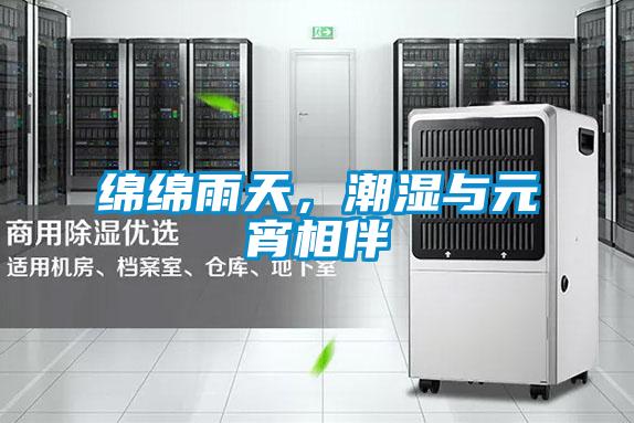 綿綿雨天，潮濕與元宵相伴