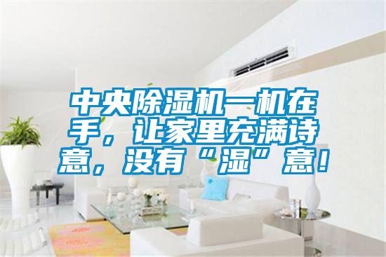 中央除濕機(jī)一機(jī)在手，讓家里充滿詩意，沒有“濕”意！