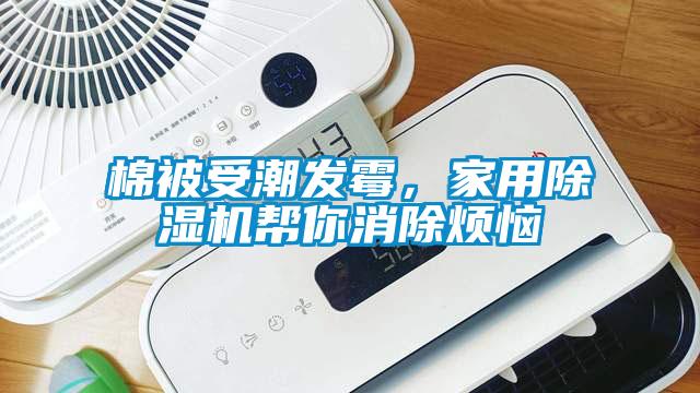 棉被受潮發霉，家用除濕機幫你消除煩惱