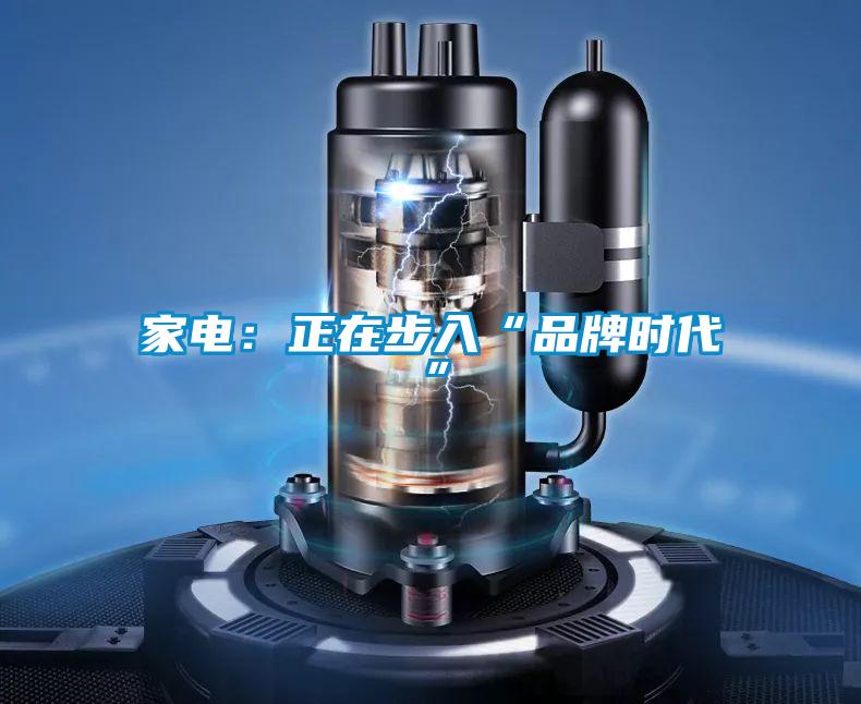 家電:正在步入“品牌時(shí)代”