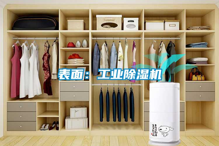表面:工業除濕機