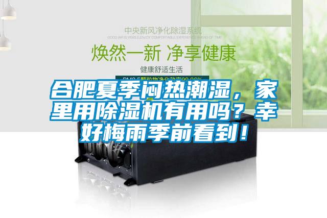 合肥夏季悶熱潮濕，家里用除濕機有用嗎？幸好梅雨季前看到！