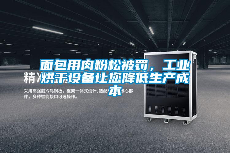 面包用肉粉松被罰，工業(yè)烘干設備讓您降低生產(chǎn)成本